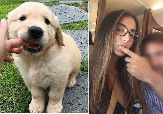 sashka-doggy-lol